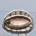 BIG Things in Melbourne Victoria